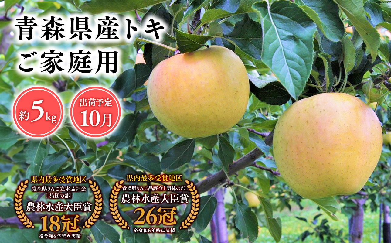2026年産１０月発送　【訳あり】家庭用トキ5kg【青森県 平川市 そと川りんご園】１０月発送 家庭用 青森 青森県産 平川 りんご リンゴ 林檎 くだもの 果物 フルーツ