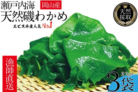 わかめ 風味豊かな 瀬戸内 わかめ 22g×3袋 乾燥