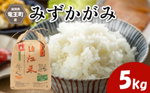 令和7年産米 みずかがみ 精米 5kg 環境こだわり米 お米 おこめ 玄米 も選べる ミズカガミ 水鏡 2025年産 米 化学肥料不使用 特別栽培米 甘み キラキラ つややか 炊飯器 国産 近江米 贈り物 ギフト プレゼント 農家応援 人気 農家直送 産地直送 竜王米 滋賀県 竜王町 ふるさと納税