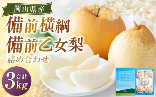 備前横綱 1玉（約1～1.4kg）・備前乙女梨 3～5玉 詰め合わせ 合計約3kg 梨 ナシ なし あたご梨 愛宕梨 あたごなし ジャンボ梨 鴨梨 ヤーリー 【2026年11月下旬～12月下旬発送予定】