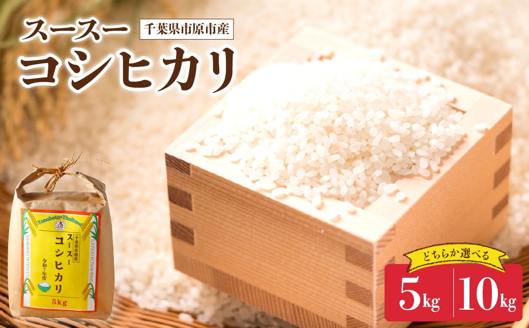 
                  【選べる内容量】令和7年産 千葉県市原市産 コシヒカリ（5kg／10kg）
                