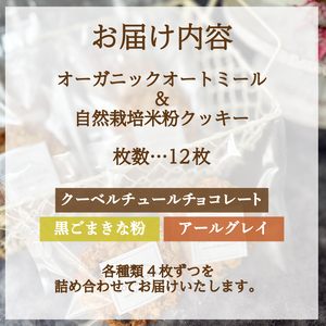 クッキー 12枚セット クッキー KF001-1-x