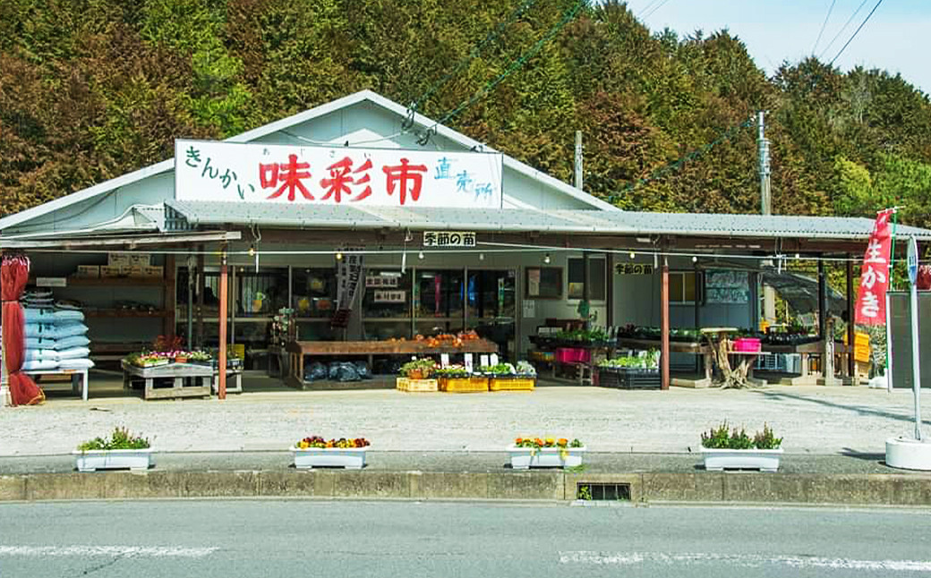 長浦すいか（M玉以上）1玉【2025年6月上旬～6月下旬迄発送予定】