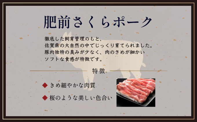 佐賀県産厳選 焼肉5種盛り合わせ 600g (2～3人前) 5種盛り600g