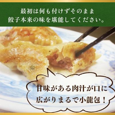 ふるさと納税 石巻市 餃子 まるで小籠包!雲雀餃子 30個(10個×3)ニンニク不使用 冷凍 手作り 焼餃子 惣菜 石巻市 |  | 02