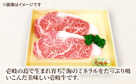 壱岐牛 サーロインステーキ2枚 《壱岐市》【ヤマグチ】[JCG036] サーロイン 25000円