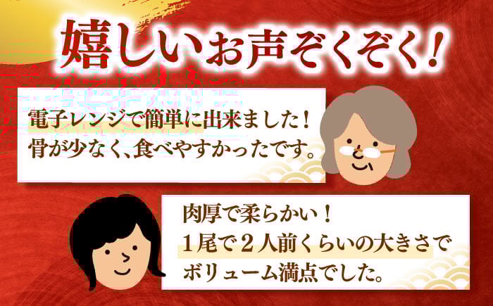 全12回定期便 特大！ 鹿児島産 うなぎ 蒲焼2尾セット