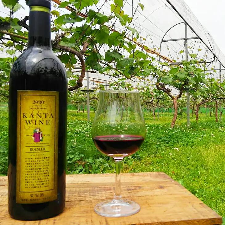 ロースラー ワイン KANTA WINE 2024（赤） 750ml×1本 【711】
