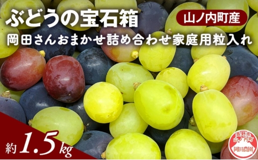 【2026年9月～発送】ぶどう ぶどうの宝石箱 岡田さんおまかせ詰め合わせ家庭用粒入れ約1.2kg 山ノ内町産 ブドウ 葡萄
