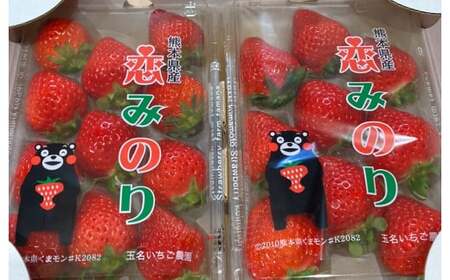 熊本県産 いちご （恋みのり）2パック 約560g 苺 恋みのり こいみのり 【2025年1月上旬発送開始】