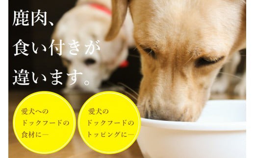 【3回定期便】ヒューマングレードペットフード エゾ鹿肉のミンチ 500g×1個（犬用おやつ）