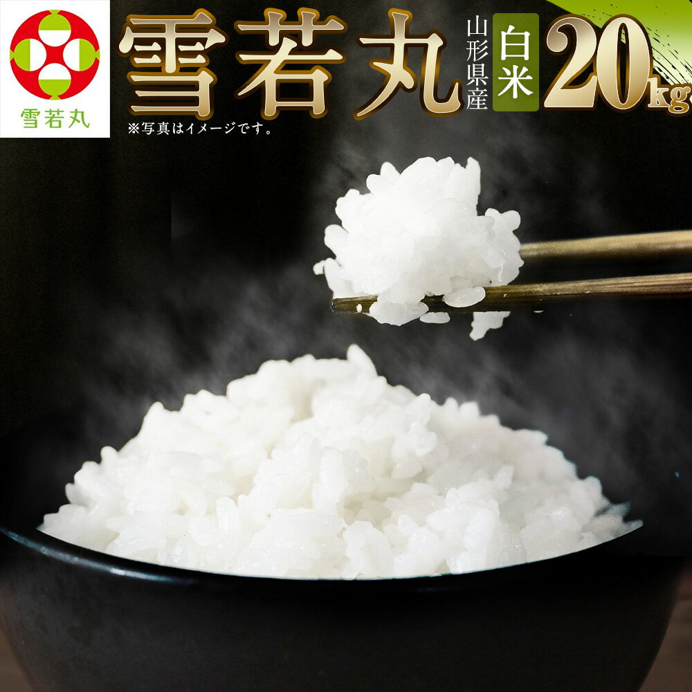 【ふるさと納税】【令和7年産新米】〈白米〉 雪若丸 20kg ＜1回のお届け＞ 10kg×2袋 山形県産 精米 【2025年11月上旬発送開始予定】