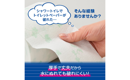 【2回お届け 計144ロール】エリエール シャワートイレのためにつくった吸水力が2倍 トイレットペーパー ダブル 25m 12R 6パック 計72ロール 防災 常備品 備蓄品 消耗品 日用品 送料無料