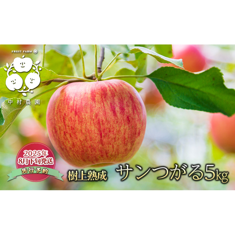 先行予約 りんご 5kg 樹上熟成 サンつがる 林檎 リンゴ 果物 くだもの フルーツ 旬の果物 旬のフルーツ 季節の果物 季節のフルーツ 美味しい果物 長野県産 長野県産りんご 信州 長野 長野県 