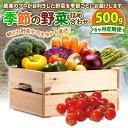 【ふるさと納税】定期便 季節 野菜 詰め合わせ 500g 6ヶ月 連続お届け 果物 産地直送 朝どれ フルーツトマト ほうれんそう 白菜 キャベツ ブロッコリー そら豆 ヤングコーン とうもろこし 枝豆 ピーマン 水 ナス オクラ キュウリ カリフローレ 風の子ファーム 埼玉県 羽生市