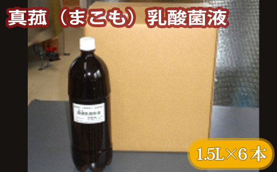 
No.228 真菰（まこも）乳酸菌液　1.5L×6本 ／ マコモ 液体 山梨県
