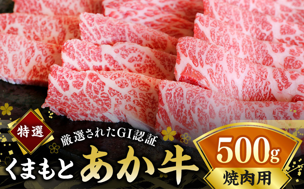 G21Q 厳選されたGI認証 くまもとあか牛 特選焼肉用 約500g