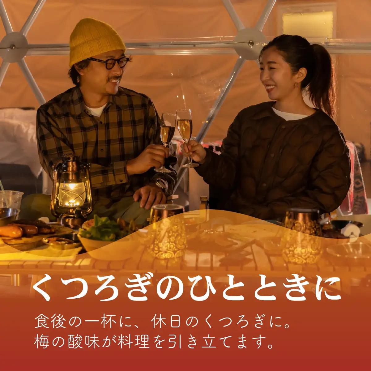 日の出みりん キング醸造 梅酒 180ml/30本【 お酒 酸味 スッキリとした甘み 梅酒 梅 なつかしい】