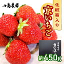 【ふるさと納税】【数量限定】高級 完熟 京いちご 1箱 希少 お楽しみ【紅ほっぺ おいCベリー スターナイト から厳選してお届け】人気 小島農園 減農薬 果実 新鮮 フルーツ 旬 いちご 苺 有名 スイーツ店 御用達 ※2025年1月中旬～5月下旬頃に順次発送予定