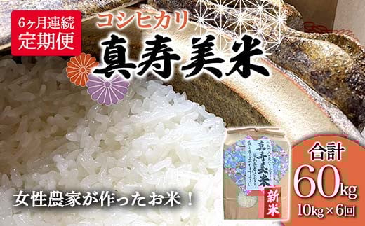 
            【6ヶ月連続でお届け】女性農家が作ったお米「真寿美米」コシヒカリ精米10kg（合計60kg） コシヒカリ 米 お米 ブランド米 銘柄米 備蓄 日本米 こしひかり コメ ごはん ご飯 食品 F23R-459
          