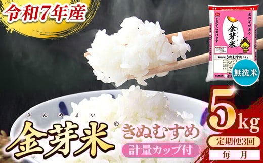 【定期便】BG無洗米・金芽米きぬむすめ 5kg×3ヵ月 （毎月）計量カップ付き【令和7年産 3ヶ月 計15kg 東洋ライス 健康 島根県 安来市】【価格改定XA】【45-SS-57】