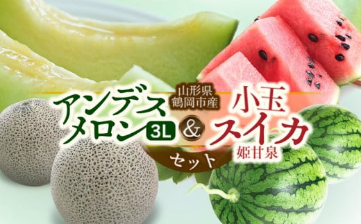 【令和8年産先行予約】 アンデスメロン（青肉） と 小玉スイカ (姫甘泉)  各2玉セット（合計約5kg） 山形県鶴岡市産　小林ファーム