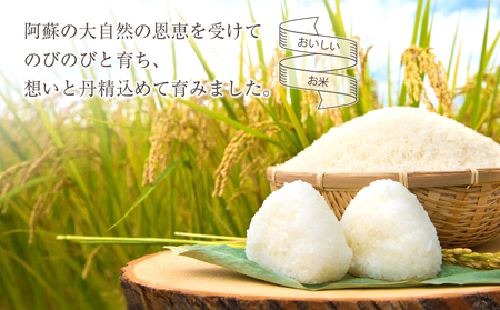 【コシヒカリ・農家指定無】令和6年産　阿蘇の美味しいお米をお届け！5kg×1袋　白米 お米 人気 美味しい 白ご飯 こだわり 農業 甘味 香り ツヤ お米の王様 熊本県 阿蘇市