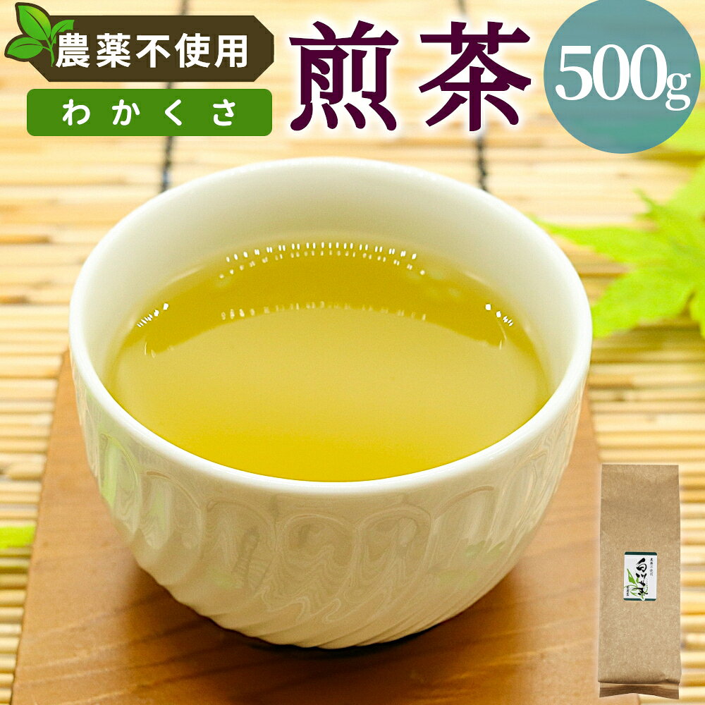 【ふるさと納税】農薬不使用！煎茶 わかくさ 500g 常磐園 白川茶 美濃白川茶 日本茶 緑茶 煎茶 茶葉 お茶 二番茶 春摘み リーフ 国産 大容量 岐阜県 東白川村 家庭用 事務所用