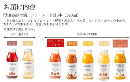 ほせき本舗　「大和高原の滴」おまかせジュース5本セット【hbk001】
