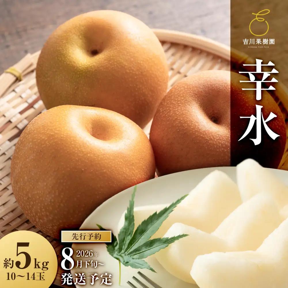 【ふるなびWEEK対象】【2026年分】 梨 幸水 約５kg（10～14玉）8月下旬～順次発送【吉川果樹園】 ｜ 梨