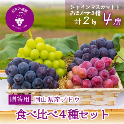 岡山　花笑み農園の『食べ比べ4種』シャイン入り　贈答用　2kg(4房)4M-2【配送不可地域：離島・北海道・沖縄県】