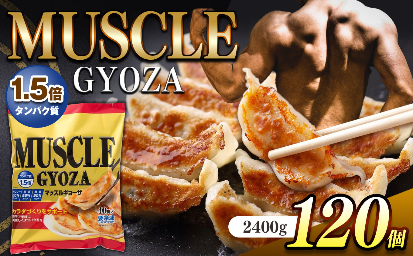 
MUSCLE GYOZA ~マッスルギョーザ～ 3パックセット | 餃子 ギョーザ ダイエット マッスルギョーザ 長野県 松本市 信州産 ふるさと納税
