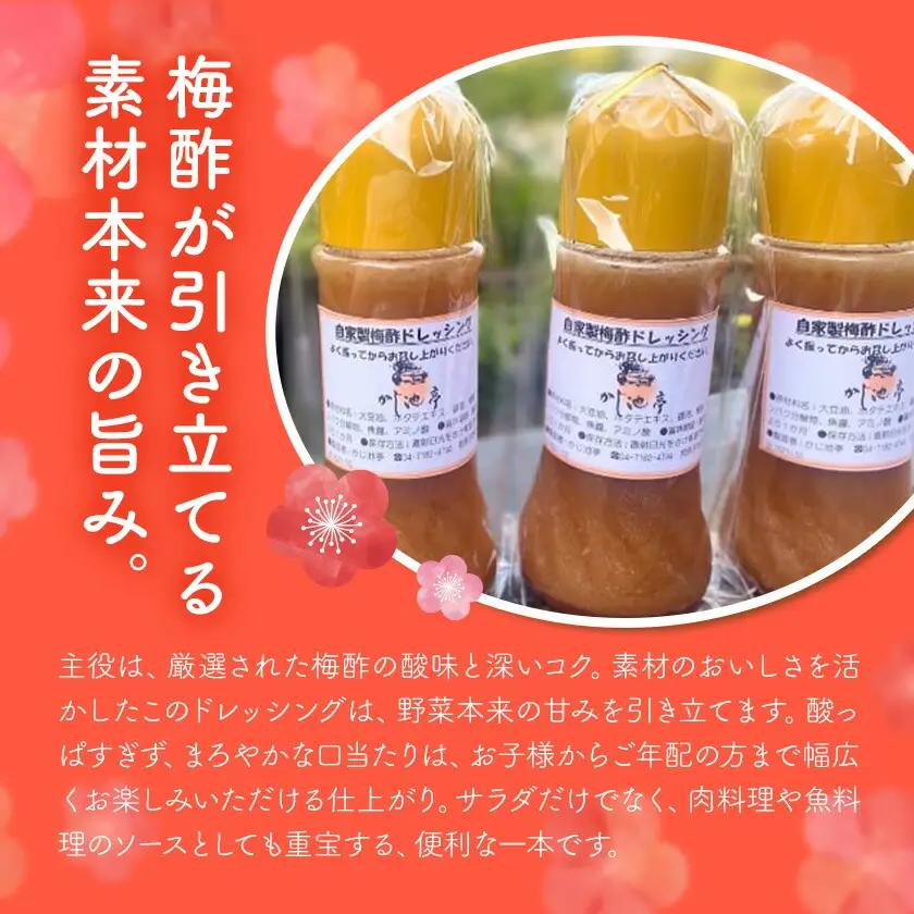 ドレッシング 自家製 300cc 3本