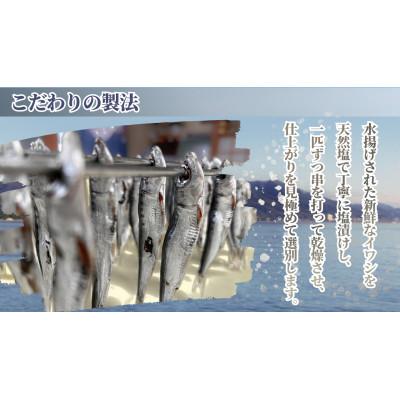 ふるさと納税 宮津市 いわしめざし　60g×5袋　マイワシ　ウルメイワシ |  | 01