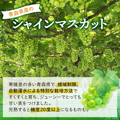2026年発送【訳あり】青森市産シャインマスカット 2房(1kg以上)【配送不可地域：離島・沖縄県】【1492539】