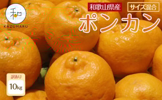 
            訳あり 森本農園の手選別 ポンカン 約10kg 和歌山県産 サイズ混合 ［北海道・沖縄・離島配送不可］［RN45］［2026年1月上旬から順次発送］
          
