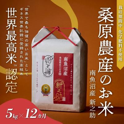 ふるさと納税 南魚沼市 【毎月定期便】ギネス世界記録「世界最高米」認定 最高級南魚沼産新之助5kg 桑原農産のお米全12回