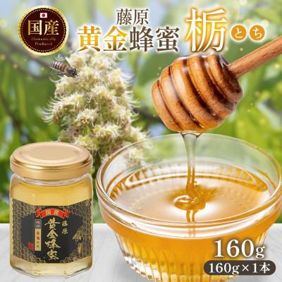 ふるさと納税 盛岡市 藤原黄金蜂蜜 栃 160g 完熟 単花蜜 藤原養蜂場 岩手県盛岡市