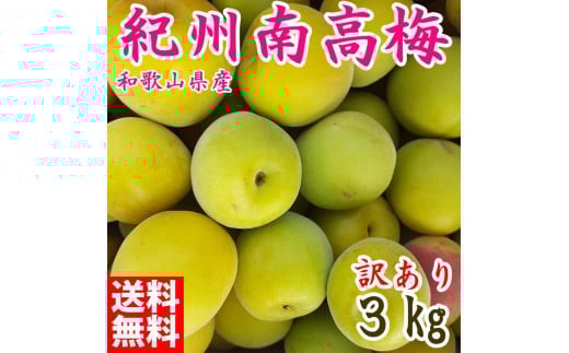 
            青梅 約3kg 訳あり 紀州南高梅 シロップ・梅酒・梅干し用など 和歌山県有田産 2026年5月下旬～7月上旬発送予定
          