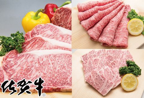 H-167 「佐賀牛」プレミアムセット（ステーキ200g×8・焼肉用700g・スライス700g）