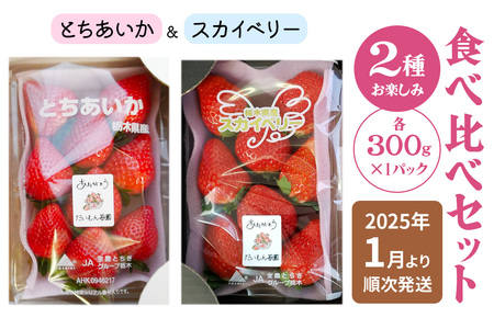 [2025年1月中旬より順次発送] 2種お楽しみ食べ比べセット「とちあいか＆スカイベリー」計300g×2パック｜とちあいか スカイベリー いちご イチゴ 苺 フルーツ 果実 スイーツ 日光市産 栃木県産 産地直送 [0457]