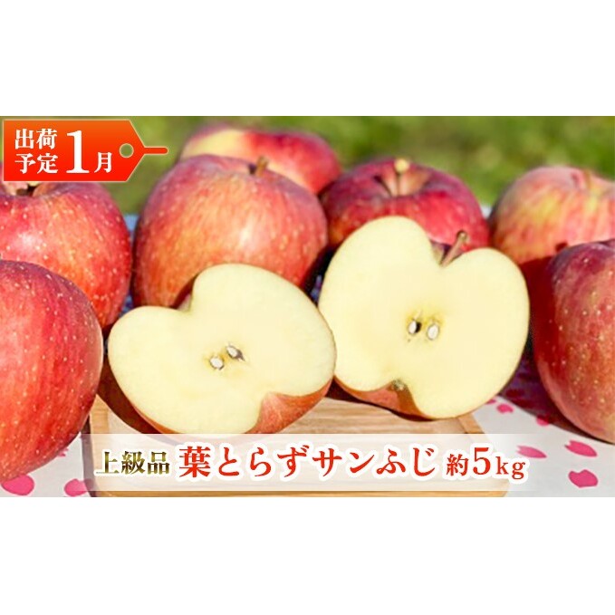 りんご 【 1月発送 】美品 ・ 上級品 当園自慢の逸品！！ 葉とらず サンふじ 約 5kg【 弘前市産 青森りんご  果物類 プレゼント 贈り物 ギフト 酸味 ジューシー 甘さ シャキシャキ  】