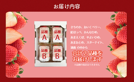 個性派いちご2品種食べ比べセット　250g×4パック　『とくしま安2（安全・安心）GAP農産物』優秀認定取得