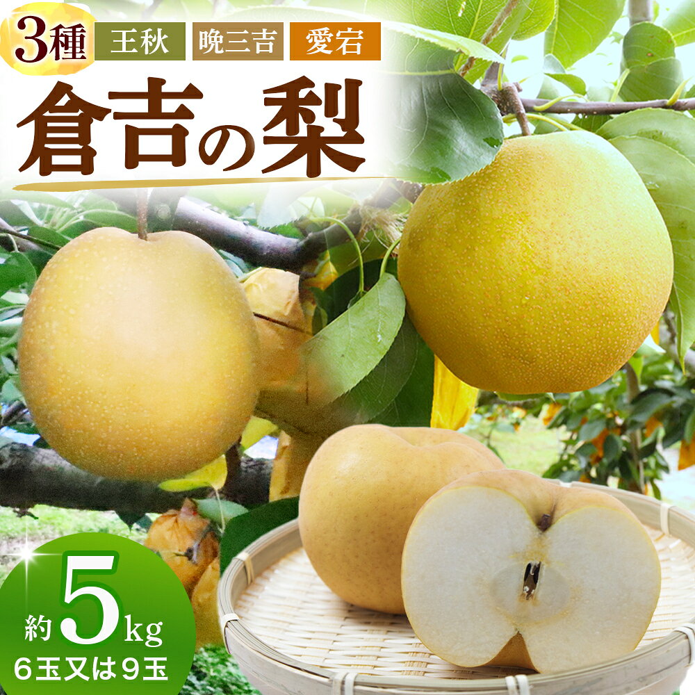 【ふるさと納税】【期間限定】令和8年産 倉吉の梨 3種ミックス（王秋・晩三吉・あたご）計5kg 王秋 晩三吉 あたご梨 倉吉産 梨 ナシ ブランド梨 果物 フルーツ 先行予約 和梨 数量限定