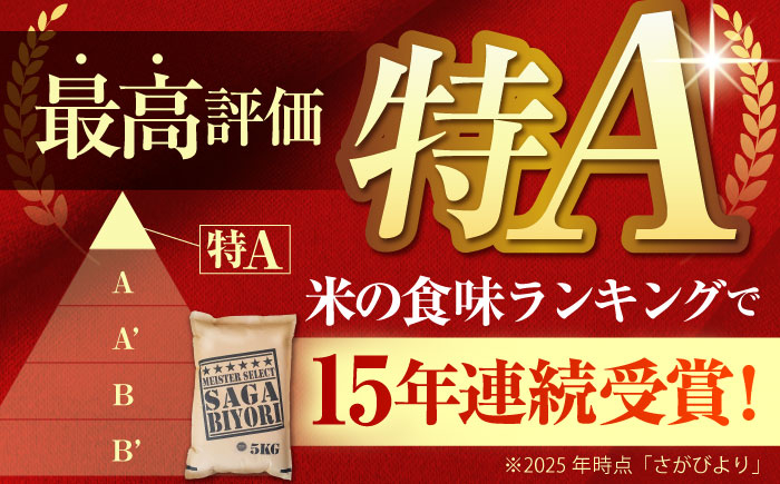 【全6回定期便】さがびより 白米 10kg ( 5kg×2袋 ) 【五つ星お米マイスター厳選】 [HBL042]