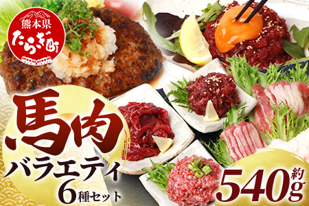 【熊本 馬刺し】 6種馬肉バラエティ食べ比べセット 約540g タレ付き 冷凍 【 馬肉の刺身 生食 刺身 お刺身 SQF 安全 高品質 ファーム 馬肉 いろいろ セット 】 031-0437