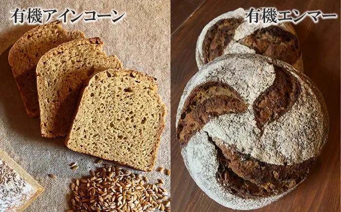 薪窯パン 有機古代小麦を使用したパン 6種詰め合せ VERUM プレミアムセット 【 農家パン VERUM 】 ／ パン ぱん ブレッド ベーカリー 古代小麦 薪窯 薪窯焼き 薪窯焼 石窯パン 石窯 