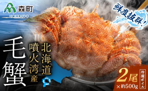 【先行予約】 北海道・噴火湾産冷凍ボイル毛ガニ約500g前後×2尾 ＜海鮮問屋　株式会社　瑞宝＞ かに カニ 蟹 ガニ がに 森町 ふるさと納税 北海道 毛蟹 毛かに 毛ガニ 毛カニ mr1-0949