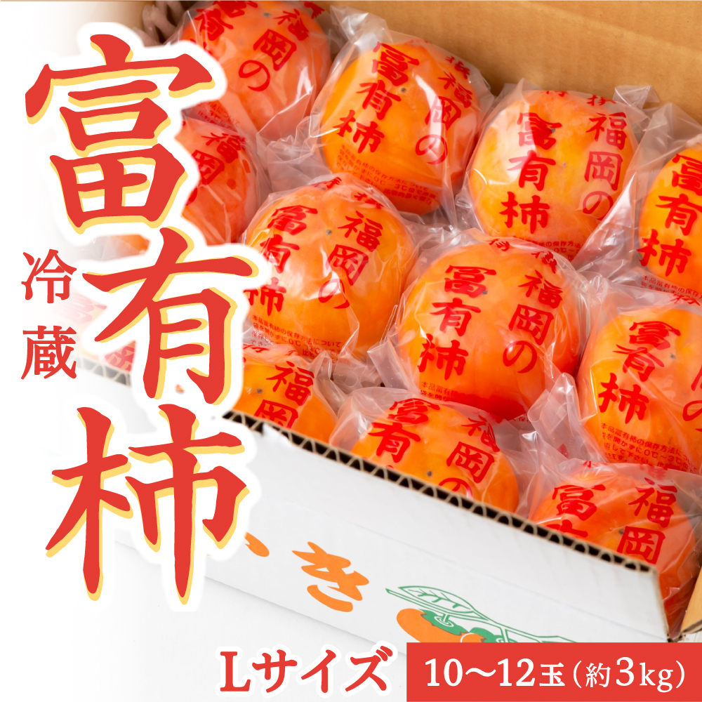 【先行予約】伊藤園 冷蔵富有柿 (Lサイズ) 10から12玉 (約3kg) 2024年12月中旬から12月下旬お届け