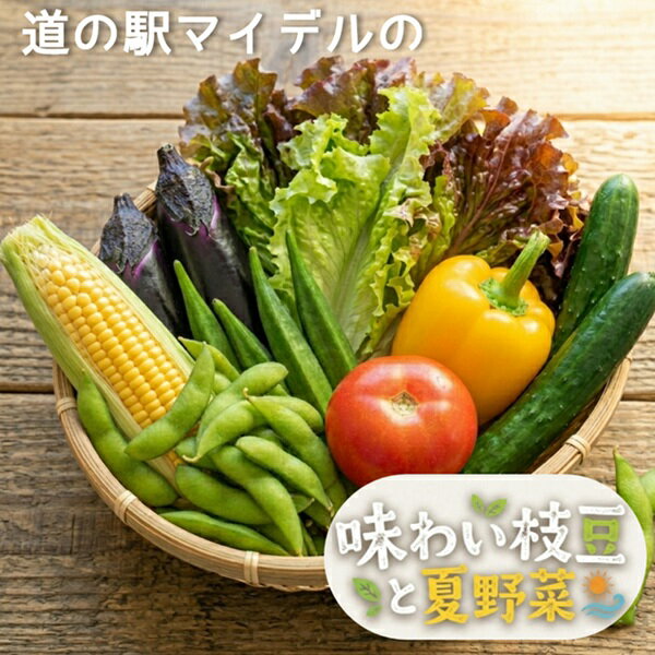 【ふるさと納税】道の駅マイデルの味わい枝豆と夏野菜セット※8月上旬頃より配送（物産館マイデル運営協議会）